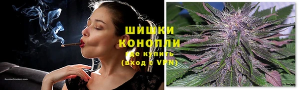 гашик Верея