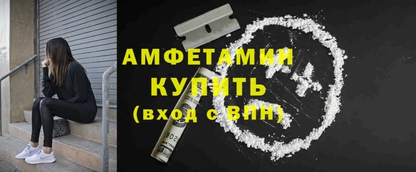 гашик Верея