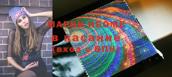 гашик Верея