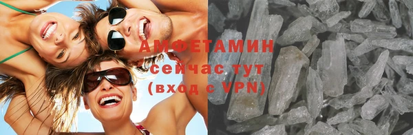 гашик Верея