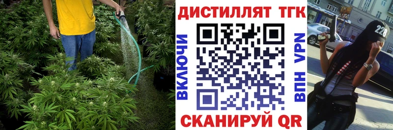 где купить наркотик ОМГ ОМГ ССЫЛКА Дистиллят ТГК жижа Кедровый